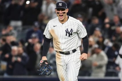 Oct 18, 2022; Bronx, New York, USA; New York Yankees first baseman Anthony Rizzo (48) during game five of the NLDS for the 2022 MLB Playoffs at Yankee Stadium. Mandatory Credit: Wendell Cruz-USA TODAY Sports