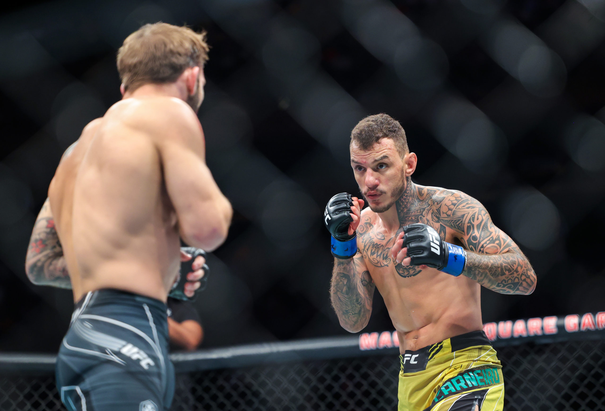 UFC lightweight rankings: Renato Moicano enters the top 10