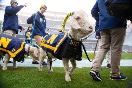 Dec 14, 2019; Philadelphia, PA, USA; Navy mascot on the field during pregame ceremonies before the Army Navy game between the Army Black Knights and the Navy Midshipmen at Lincoln Financial Field. Mandatory Credit: Bill Streicher-USA TODAY Sports