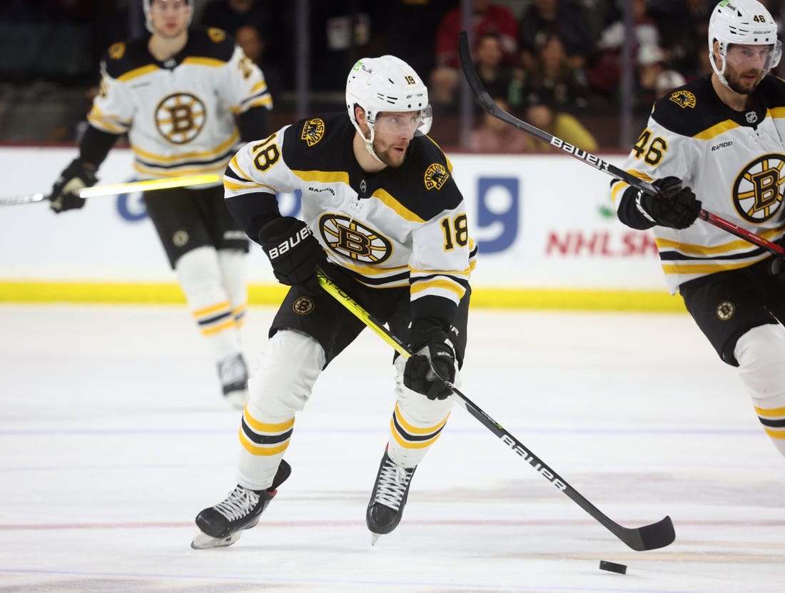 Dec 9, 2022; Tempe, Arizona, USA; Boston Bruins center Pavel Zacha (18) against the Arizona Coyotes at Mullett Arena. Mandatory Credit: Mark J. Rebilas-USA TODAY Sports