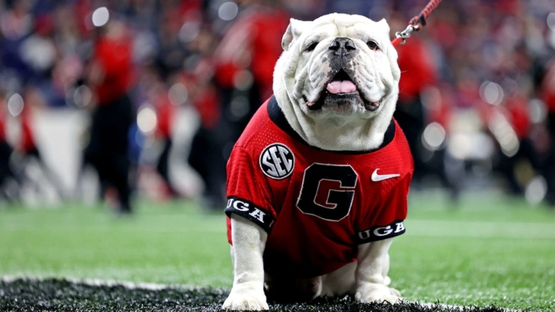 Jan 10, 2022; Indianapolis, IN, USA; The Georgia Bulldogs mascot Uga on the sideline during the first half in the 2022 CFP college football national championship game between the Alabama Crimson Tide and the Georgia Bulldogs at Lucas Oil Stadium. Mandatory Credit: Trevor Ruszkowski-USA TODAY Sports
