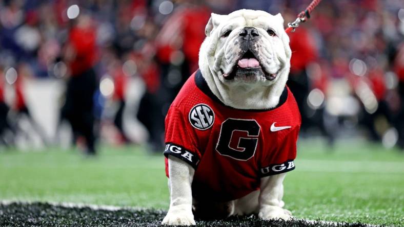 Jan 10, 2022; Indianapolis, IN, USA; The Georgia Bulldogs mascot Uga on the sideline during the first half in the 2022 CFP college football national championship game between the Alabama Crimson Tide and the Georgia Bulldogs at Lucas Oil Stadium. Mandatory Credit: Trevor Ruszkowski-USA TODAY Sports