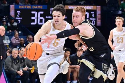 Feb 4, 2023; South Bend, Indiana, USA; Wake Forest Demon Deacons guard Cameron Hildreth (2) attempts to steal the ball from Notre Dame Fighting Irish guard Cormac Ryan (5) in the second half at the Purcell Pavilion. Mandatory Credit: Matt Cashore-USA TODAY Sports