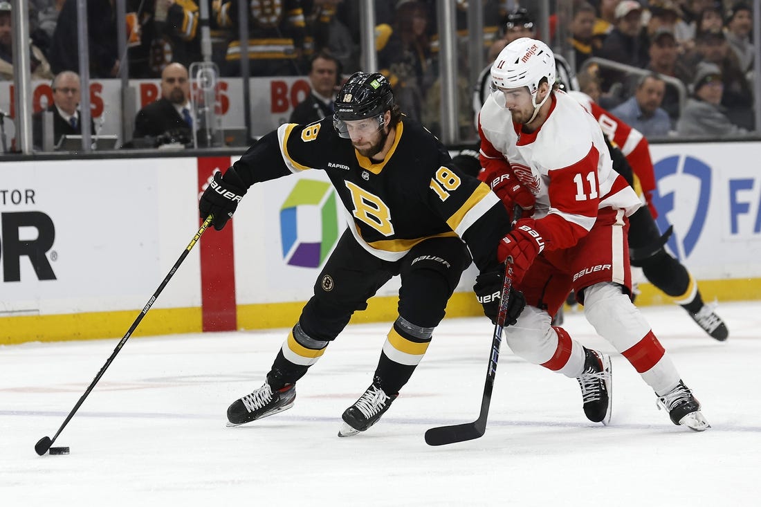 Mar 11, 2023; Boston, Massachusetts, USA; Boston Bruins center Pavel Zacha (18) tries to hold off Detroit Red Wings right wing Filip Zadina (11) during the first period at TD Garden. Mandatory Credit: Winslow Townson-USA TODAY Sports