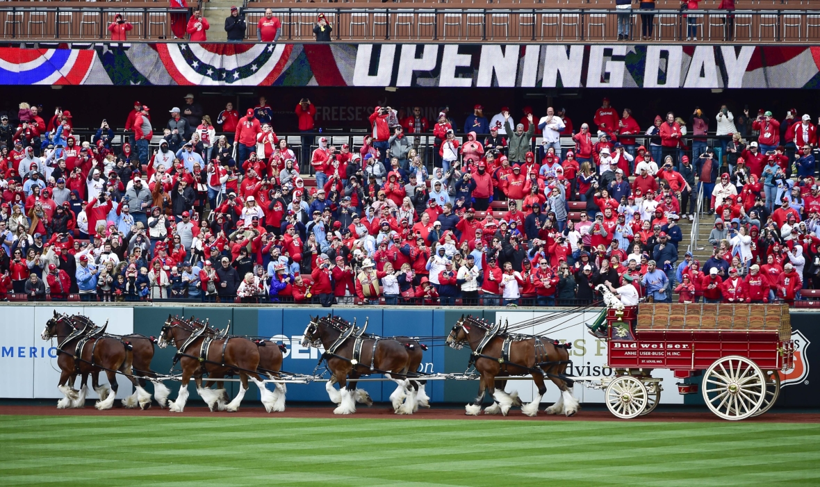 St. Louis Cardinals' Opening Day A tradition like no other