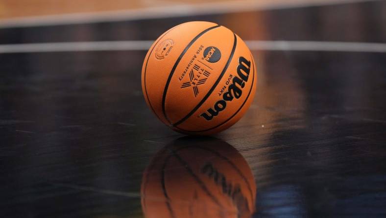 Apr 2, 2023; Dallas, TX, USA; A Wilson EVO NXT basketball with Title IX logo on the court during the NCAA Womens Basketball Final Four National Championship at American Airlines Center. Mandatory Credit: Kirby Lee-USA TODAY Sports