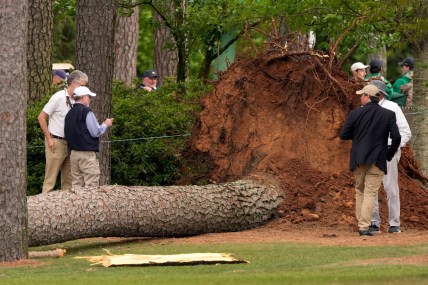 WATCH: 2023 Masters has a near-fatal accident from falling tree