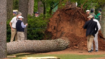 WATCH: 2023 Masters has a near-fatal accident from falling tree