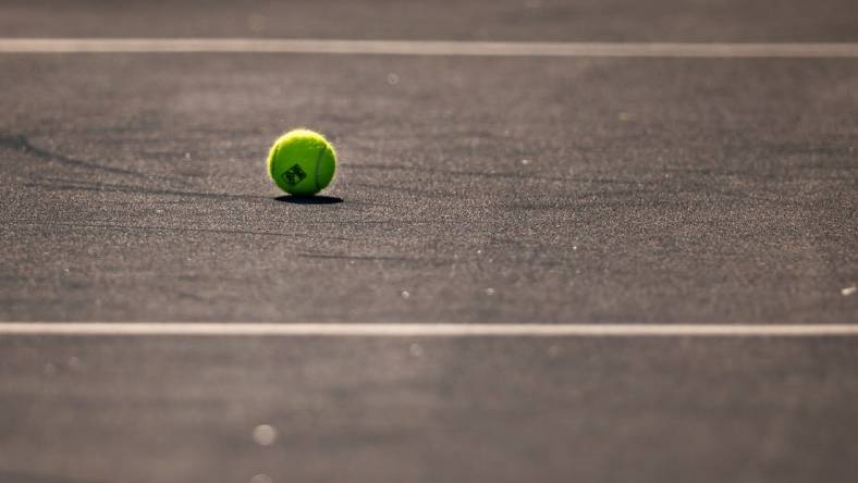 Aug 8, 2021; Washington, DC, USA; A ball with the Citi Open logo is seen on the court during the singles final match at Citi Open at Rock Creek Park Tennis Center. Mandatory Credit: Scott Taetsch-USA TODAY Sports