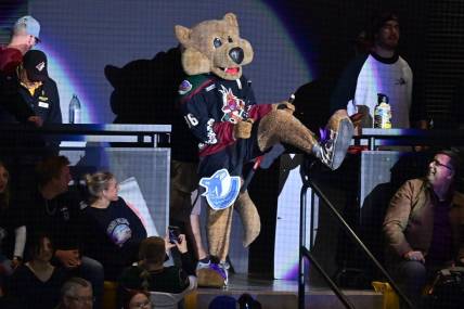 Arizona Coyotes mascot Howler breaks a Vancouver Canucks stick over his leg in the first period at Mullett Arena. Mandatory Credit: Matt Kartozian-USA TODAY Sports