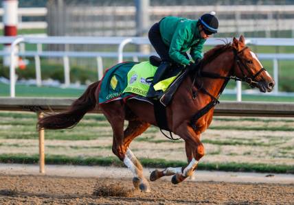 Assistant trainer Masanari Tanaka worked Derma Sotogake Wednesday April 25, 2023 at Churchill Downs in Louisville, Ky.

Kentucky Derby Horses 2023