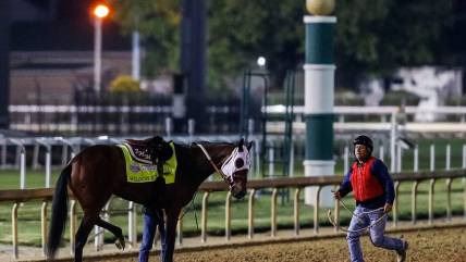 Churchill Downs carnage: Seven horse deaths in 10 days