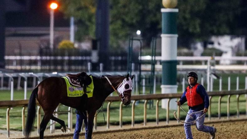 An outrider rushes to help Kentucky Derby horse Wild On Ice, as the gelding holds his left hind leg up after pulling up while galloping  during a morning workout Thursday April 27, 2023 at Churchill Downs in Louisville, Ky.

Kentucky Derby 2023 Horses Wild On Ice