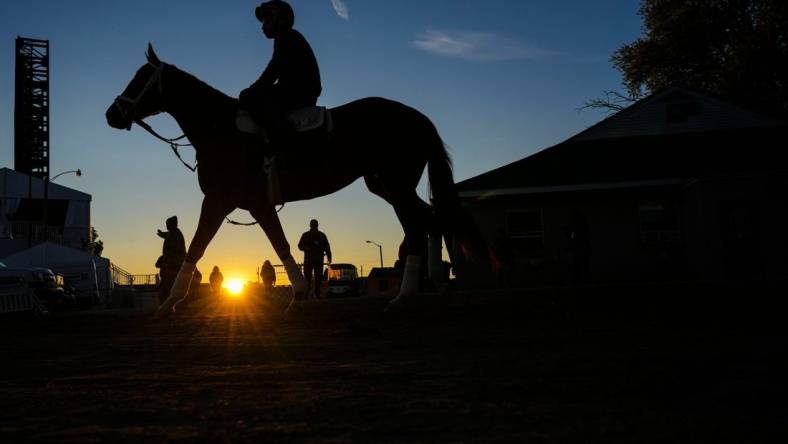 May 3, 2023; Louisville, KY, USA; A horse walks towards the track on the backside Wednesday morning at Churchill Downs on May 3, 2023, in Louisville, Ky. Mandatory Credit: Matt Stone-USA TODAY Sports