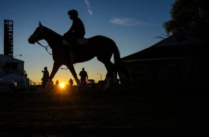May 3, 2023; Louisville, KY, USA; A horse walks towards the track on the backside Wednesday morning at Churchill Downs on May 3, 2023, in Louisville, Ky. Mandatory Credit: Matt Stone-USA TODAY Sports