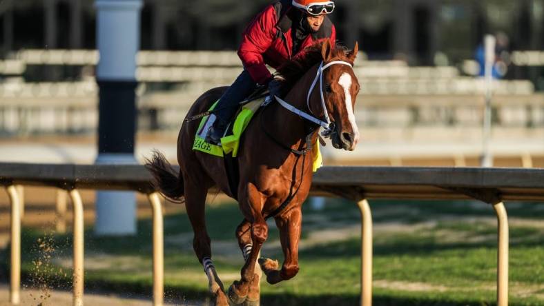 Kentucky Derby contender Mage with exercise rider J.J.Delgado aboard work at Churchill Downs Wednesday morning May 3, 2023, in Louisville, Ky. The horse is trained by Gustavo Delgado.

2023 Kentucky Derby Horses