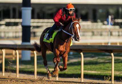 Kentucky Derby contender Mage with exercise rider J.J.Delgado aboard work at Churchill Downs Wednesday morning May 3, 2023, in Louisville, Ky. The horse is trained by Gustavo Delgado.

2023 Kentucky Derby Horses