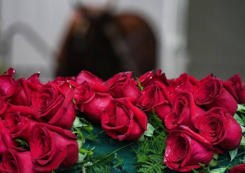 The blanket of roses is laid out in front of the stall of Mage on Sunday, May 7, 2023 at Churchill Downs in Louisville.