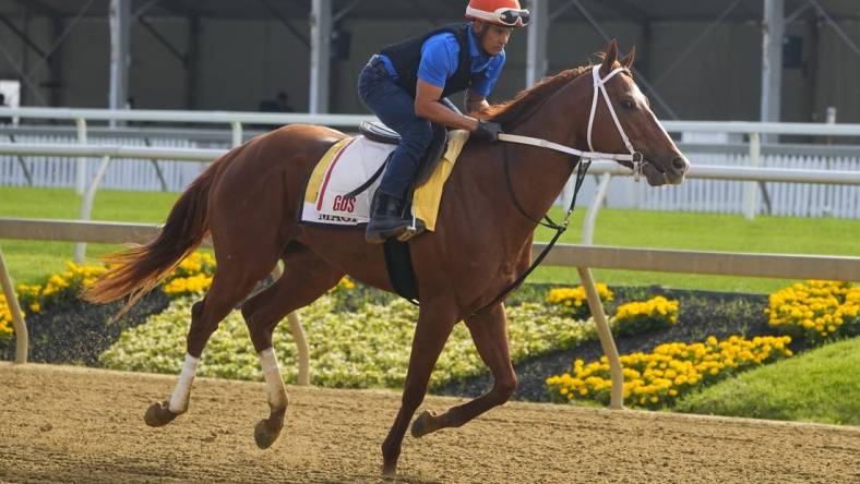 May 15, 2023; Baltimore, MD, USA; Preakness Stakes contender Mage trains Monday morning at Pimlico Race Track. Mandatory Credit: Gregory Fisher-USA TODAY Sports