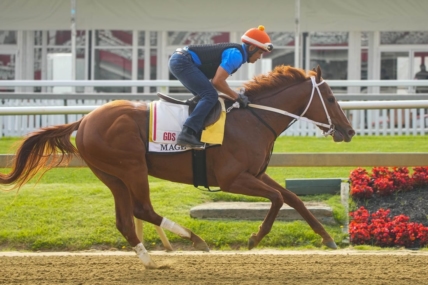 Derby winner Mage resumes Triple Crown chase in the Preakness Stakes