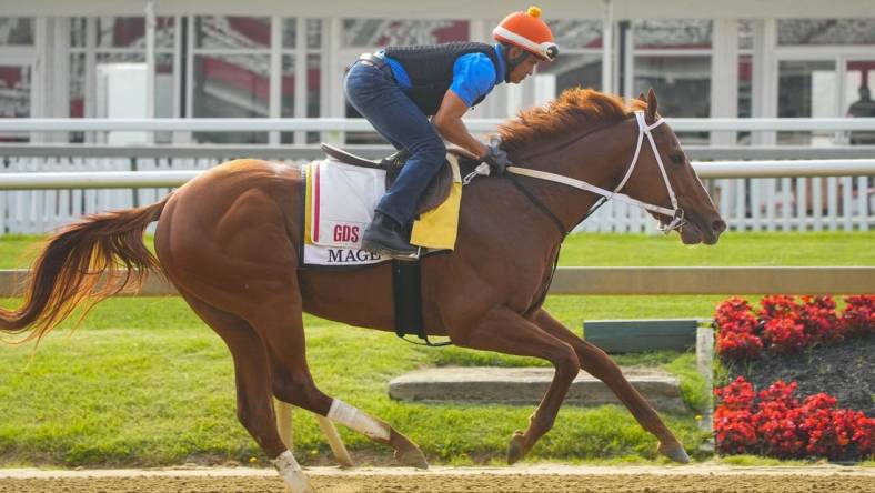 May 16, 2023; Baltimore, MD, USA; Preakness Stakes contender Mage trains Tuesday morning at Pimlico Race Track. Mandatory Credit: Gregory Fisher-USA TODAY Sports