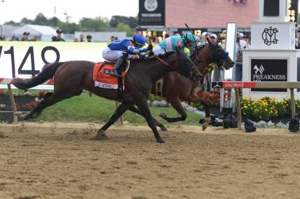 National Treasure notches close win in Preakness Stakes