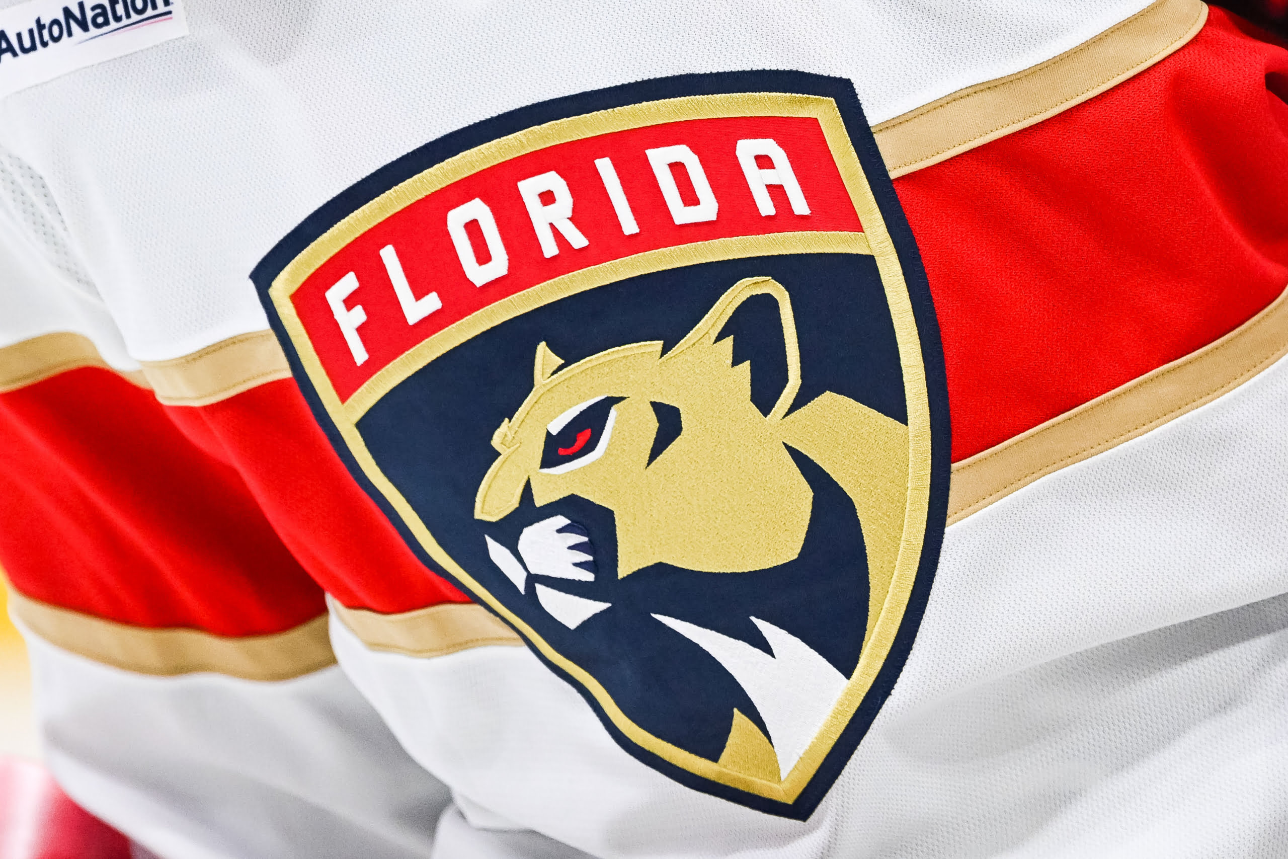 NHL Florida Panthers Jersey History RANKED! 