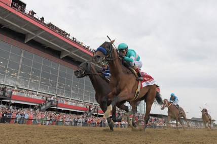 Preakness Stakes horses