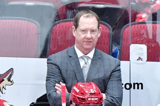 Oct 30, 2019; Glendale, AZ, USA; Arizona Coyotes assistant coach Phil Housley looks on during the second period against the Montreal Canadiens at Gila River Arena. Mandatory Credit: Matt Kartozian-USA TODAY Sports