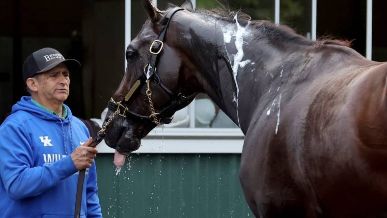 Jun 7, 2023; Elmont, New York, USA; Belmont Stakes contender Forte is bathed after a morning workout at Belmont Park. Mandatory Credit: Brad Penner-USA TODAY Sports