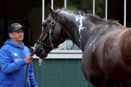 Jun 7, 2023; Elmont, New York, USA; Belmont Stakes contender Forte is bathed after a morning workout at Belmont Park. Mandatory Credit: Brad Penner-USA TODAY Sports