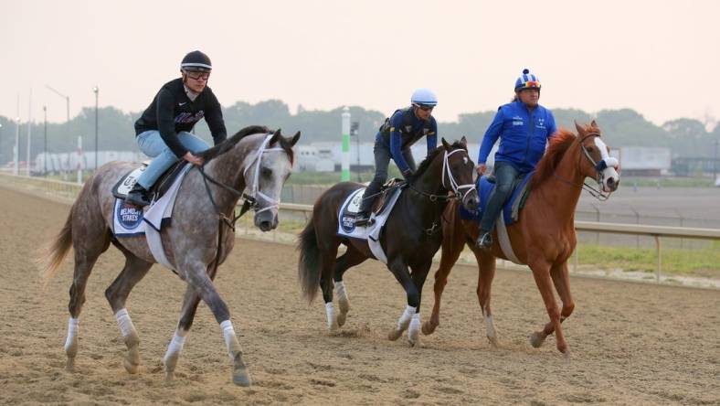 Jun 7, 2023; Elmont, New York, USA; Belmont Stakes contenders Tapit Trice (left) and Forte (center) are walked along the training track after a morning workout at Belmont Park. Mandatory Credit: Brad Penner-USA TODAY Sports