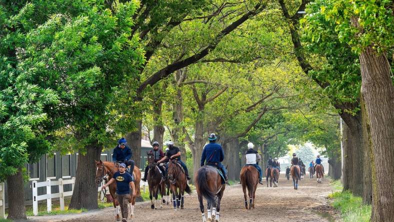 Wednesday morning activity at Belmont Park, as a hazardous smoke filled haze has prompted NYRA officials to cancel morning training for Thursday, June 8, 2023.