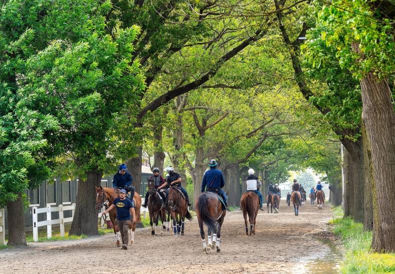 Wednesday morning activity at Belmont Park, as a hazardous smoke filled haze has prompted NYRA officials to cancel morning training for Thursday, June 8, 2023.