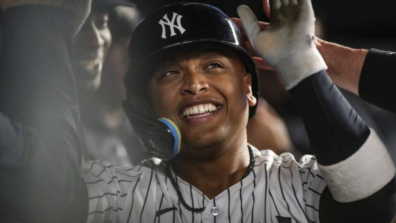 Jun 10, 2023; Bronx, New York, USA; New York Yankees right fielder Willie Calhoun (24) celebrates with teammates after hitting a solo home run in the sixth inning against the Boston Red Sox at Yankee Stadium. Mandatory Credit: Wendell Cruz-USA TODAY Sports