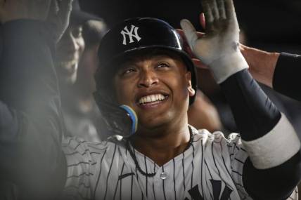 Jun 10, 2023; Bronx, New York, USA; New York Yankees right fielder Willie Calhoun (24) celebrates with teammates after hitting a solo home run in the sixth inning against the Boston Red Sox at Yankee Stadium. Mandatory Credit: Wendell Cruz-USA TODAY Sports