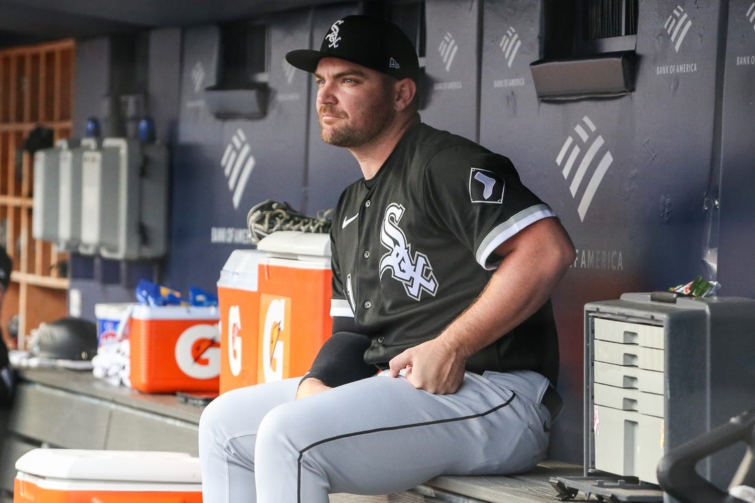 Jun 8, 2023; Bronx, New York, USA;  Chicago White Sox relief pitcher Liam Hendriks (31) at Yankee Stadium. Mandatory Credit: Wendell Cruz-USA TODAY Sports