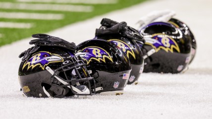 Baltimore Ravens training camp preview