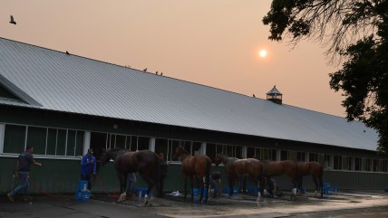 Belmont Stakes track calls off races 2 days before event due to Canadian wildfires