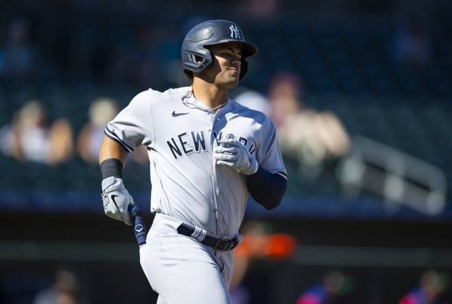 FOX Sports: MLB on X: The New York Yankees call up OF Jasson Domínguez and  C Austin Wells, per @BryanHoch. The Yankees' top two prospects, ranked by  @MLBPipeline, are set to debut