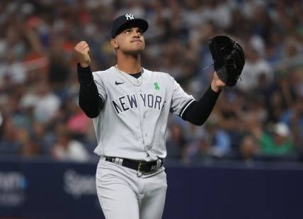 May 5, 2023; St. Petersburg, Florida, USA; New York Yankees relief pitcher Albert Abreu (84) reacts at the end of the fifth inning against the Tampa Bay Rays at Tropicana Field. Mandatory Credit: Kim Klement-USA TODAY Sports