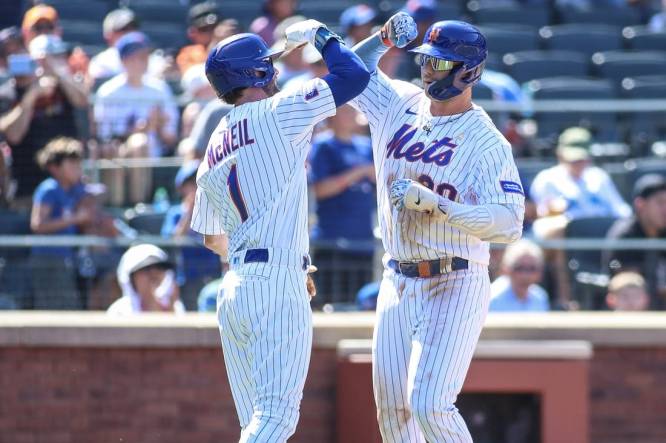 Sep 3, 2023; New York City, New York, USA;  New York Mets first baseman Pete Alonso (20) is greeted by left fielder Jeff McNeil (1) after hitting a two run home run in the third inning against the Seattle Mariners at Citi Field. Mandatory Credit: Wendell Cruz-USA TODAY Sports