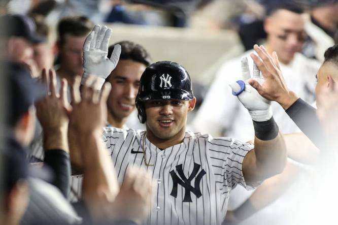 Sep 6, 2023; Bronx, New York, USA;  New York Yankees center fielder Jasson Dominguez (89) is greeted in the dugout after hitting a solo home run in the third inning against the Detroit Tigers at Yankee Stadium. Mandatory Credit: Wendell Cruz-USA TODAY Sports