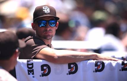 Jun 12, 2022; San Diego, California, USA; San Diego Padres acting manager Ryan Flaherty looks on from the dugout during the third inning against the Colorado Rockies at Petco Park. Mandatory Credit: Orlando Ramirez-USA TODAY Sports