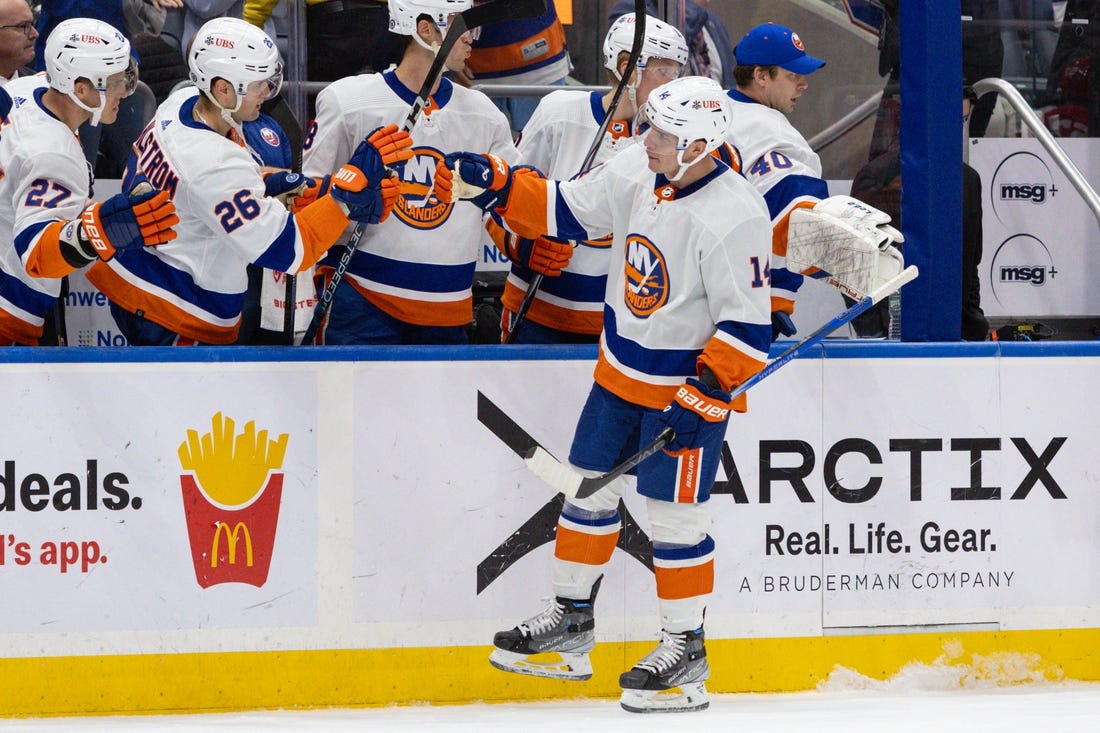 Oct 30, 2023; Elmont, New York, USA; New York Islanders center Bo Horvat (14) celebrates his goal against the Detroit Red Wings during the third period at UBS Arena. Mandatory Credit: Thomas Salus-USA TODAY Sports