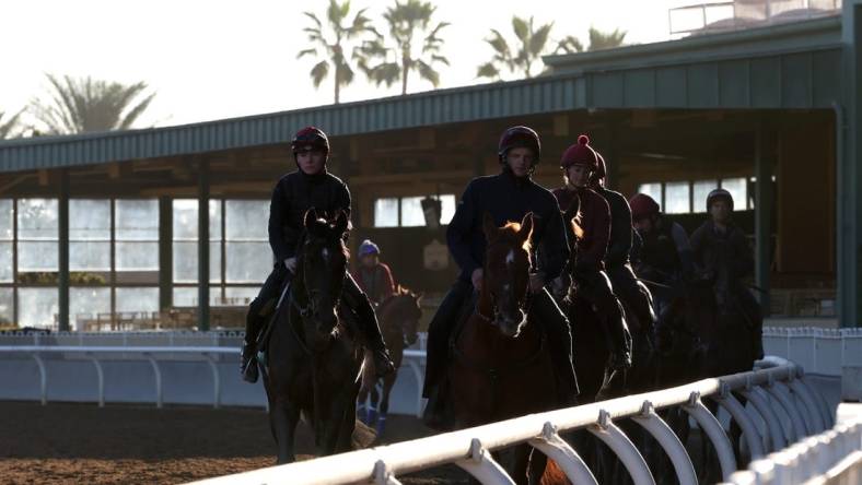 Nov 2, 2023; Santa Anita, CA, USA;  Horses train during the Breeders' Cup morning workouts at Santa Anita Park. Mandatory Credit: Kiyoshi Mio-USA TODAY Sports