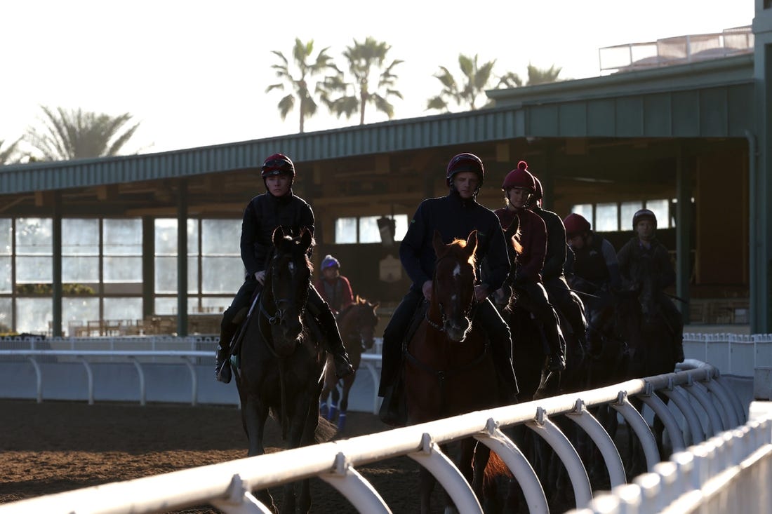 Nov 2, 2023; Santa Anita, CA, USA;  Horses train during the Breeders' Cup morning workouts at Santa Anita Park. Mandatory Credit: Kiyoshi Mio-USA TODAY Sports