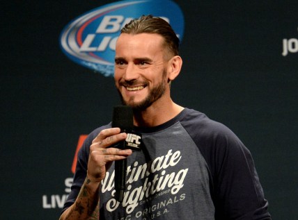 cm punk, wwe, survivor series