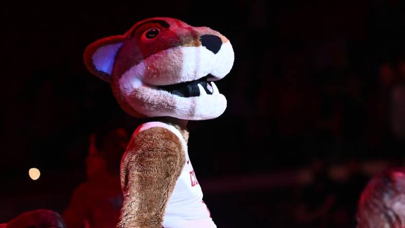 Feb 16, 2023; Pullman, Washington, USA; Washington State Cougars mascot Butch performs before a men   s basketball game against the Oregon State Beavers at Friel Court at Beasley Coliseum. Mandatory Credit: James Snook-USA TODAY Sports