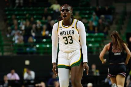 Nov 14, 2023; Waco, Texas, USA; Baylor Lady Bears guard Aijha Blackwell (33) celebrates after scoring a basket against the Utah Utes during the first half at Ferrell Center. Mandatory Credit: Chris Jones-USA TODAY Sports